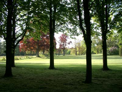 im Park Sanssouci, Kastanienwäldchen nahe bei den Römischen Bädern im Park Sanssouci, Kastanienwäldchen nahe bei den Römischen Bädern