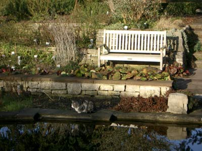Foersters Garten mit einer der Herrinnen der Anlage Foersters Garten mit einer der Herrinnen der Anlage