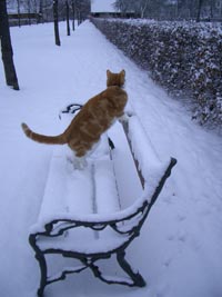 die heutige Dorfaufseherin bei der Arbeit die heutige Dorfaufseherin bei der Arbeit