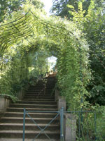 Rosentreppe im Park Babelsberg