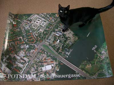 die Katze steht am ehemaligen Gaswerkskai die Katze steht am ehemaligen Gaswerkskai