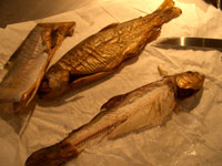 alles Glotzen hat aber nicht geholfen alles Glotzen hat aber nicht geholfen