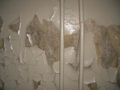 die graue Farbe blättert im ganzen Haus die graue Farbe blättert im ganzen Haus